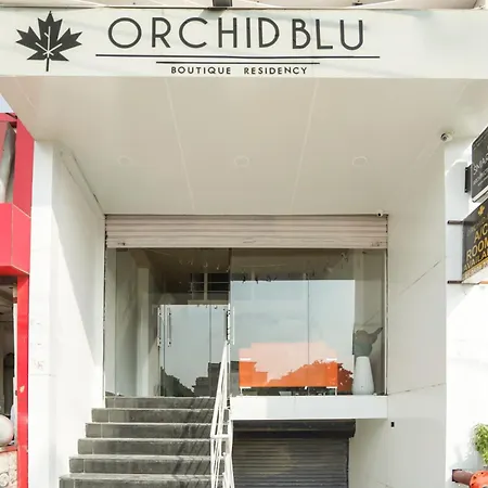 Hotel O Orchid Blu-2